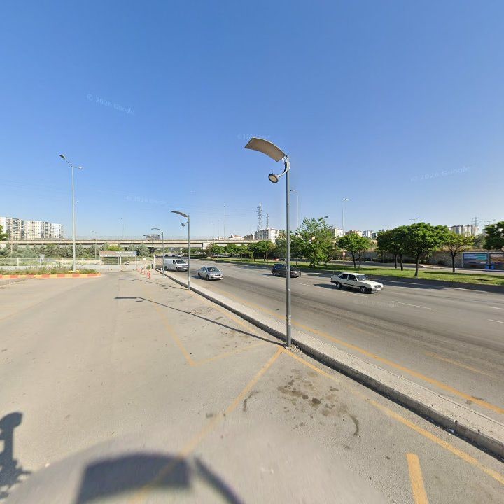 Fotoğraf 11