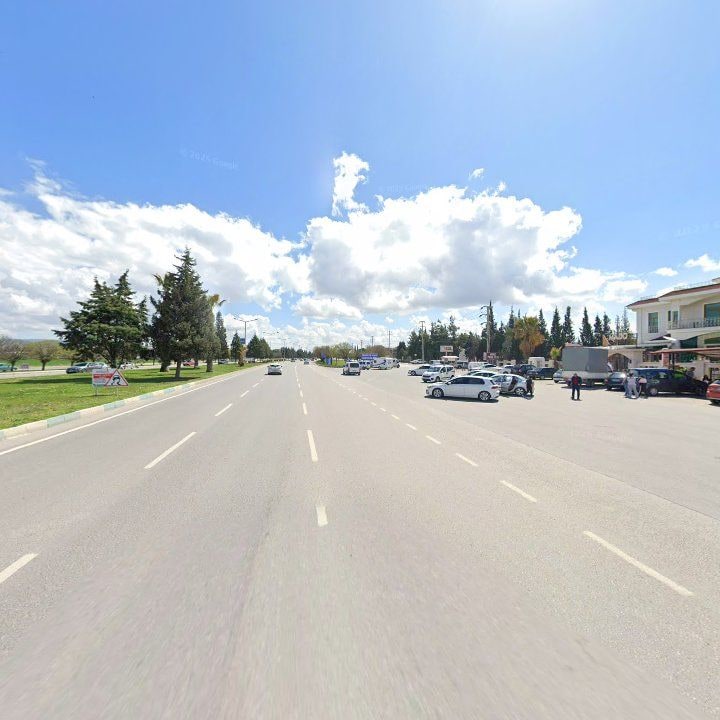 Fotoğraf 15