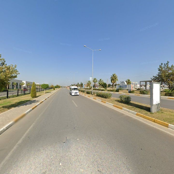Fotoğraf 9