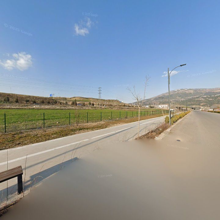 Fotoğraf 9