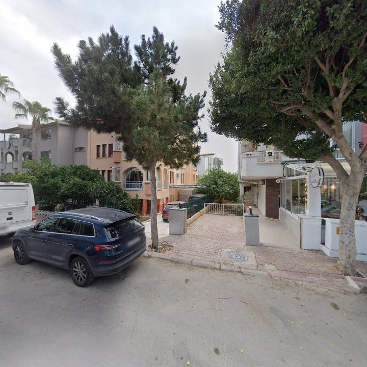 Fotoğraf 11