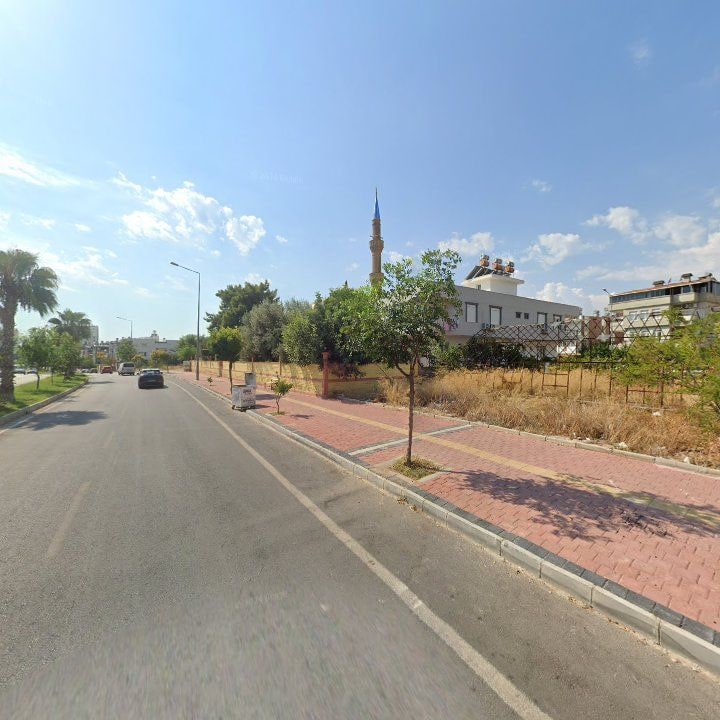 Fotoğraf 12