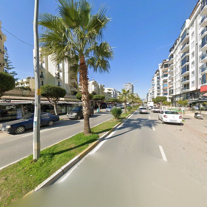 Fotoğraf 12