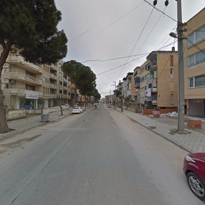 Fotoğraf 13