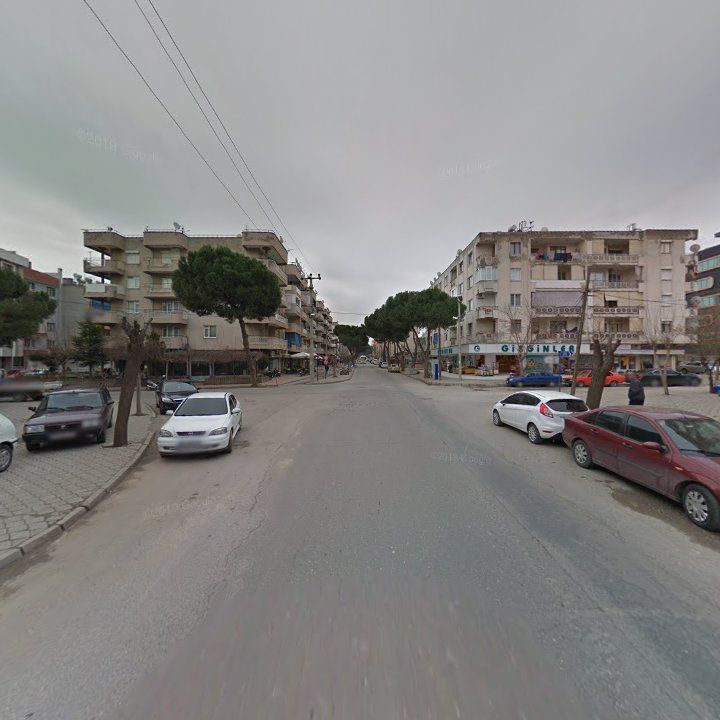 Fotoğraf 11
