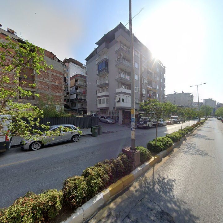 Fotoğraf 11