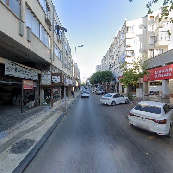 Fotoğraf 12