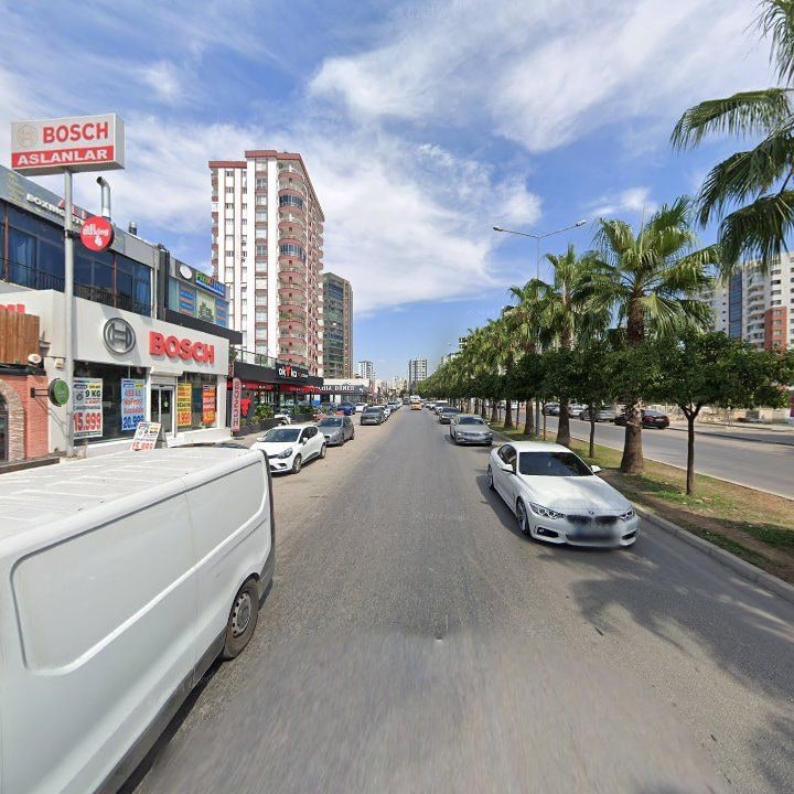 Fotoğraf 8