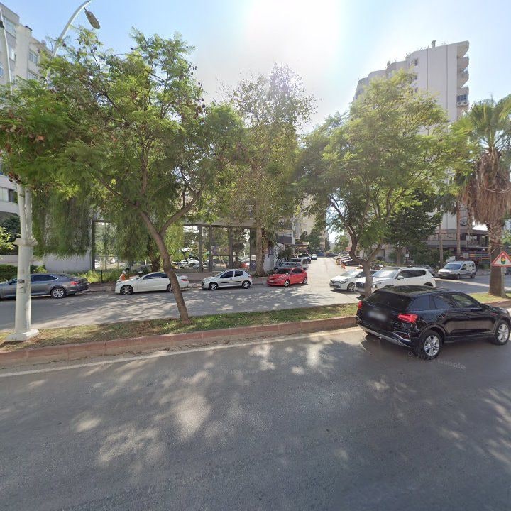Fotoğraf 15