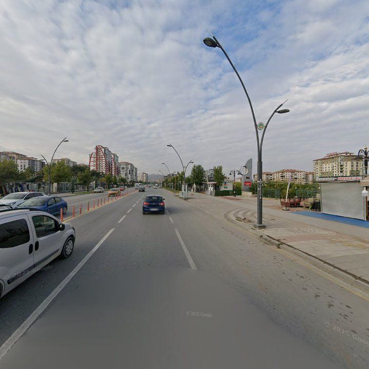 Fotoğraf 9