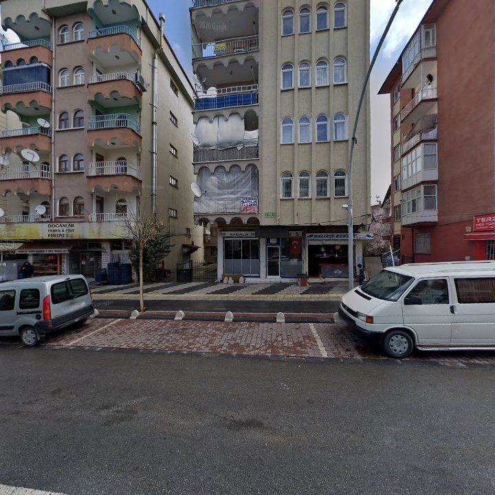 Fotoğraf 7