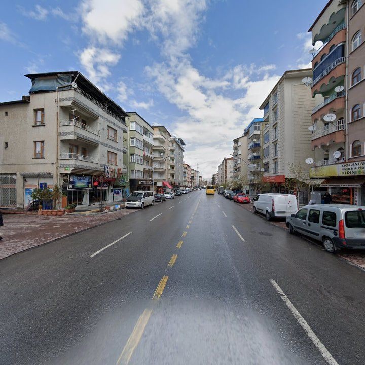 Fotoğraf 10