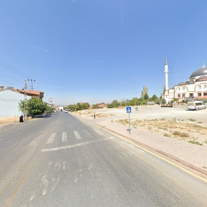 Fotoğraf 11