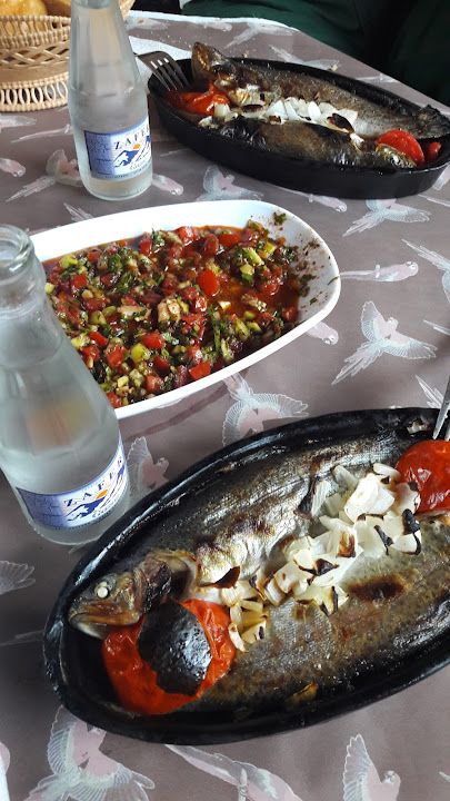 Malçok Balık Retorant. Alabalık Tesisi