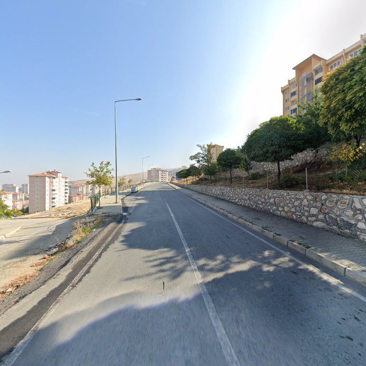 Fotoğraf 9
