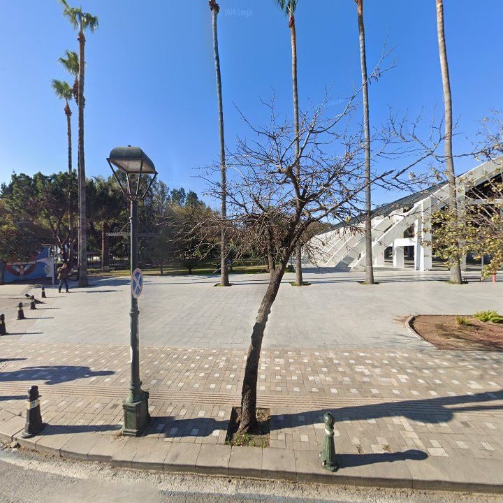 Fotoğraf 9