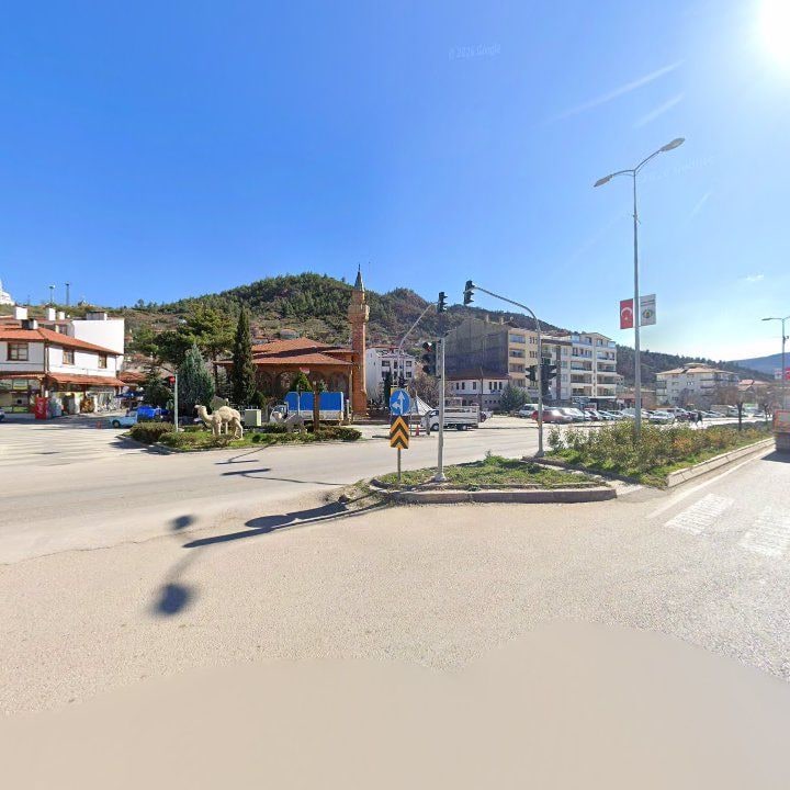 Fotoğraf 7