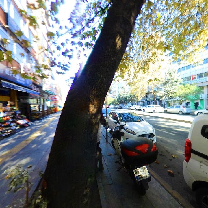 Fotoğraf 9