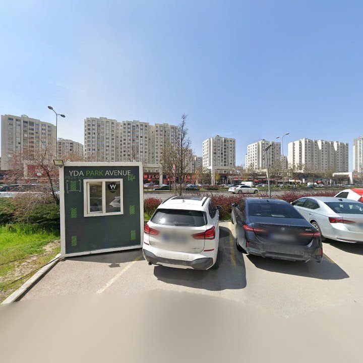 Fotoğraf 12