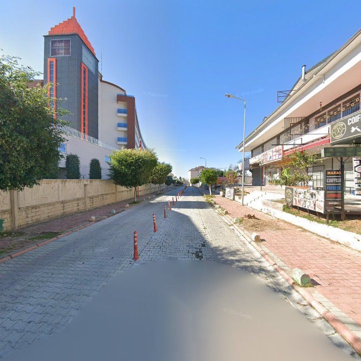 Fotoğraf 10