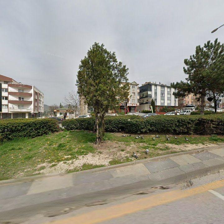 Fotoğraf 10