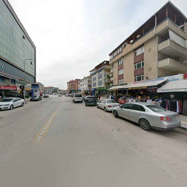 Fotoğraf 10