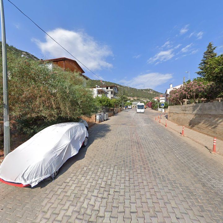 Fotoğraf 7