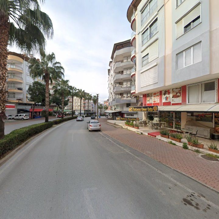 Fotoğraf 8