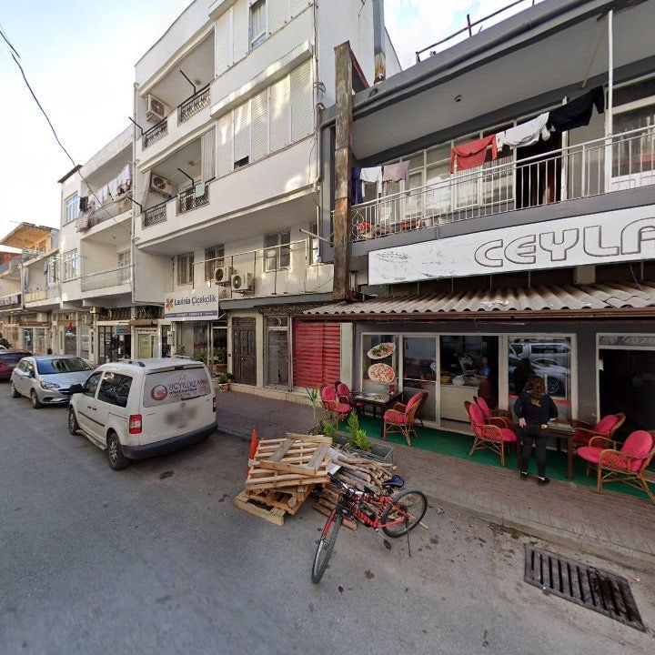Fotoğraf 10