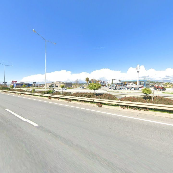Fotoğraf 11