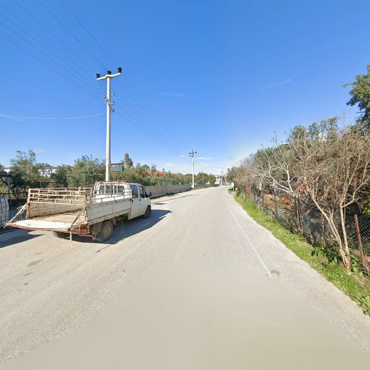 Fotoğraf 7