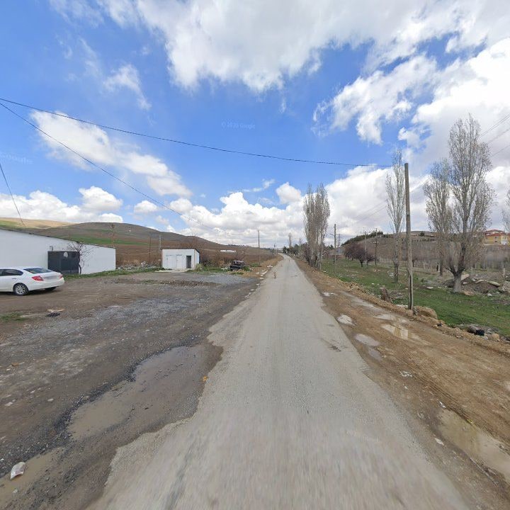 Fotoğraf 8