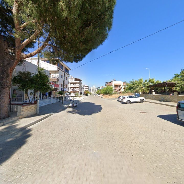 Fotoğraf 7
