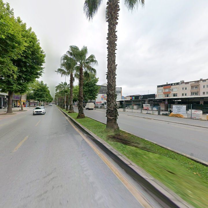 Fotoğraf 6
