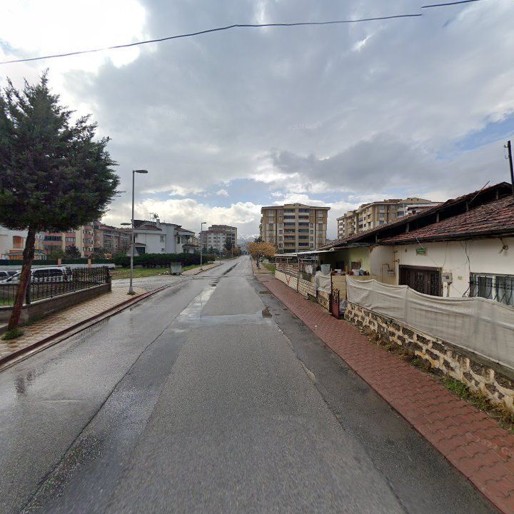 Fotoğraf 6