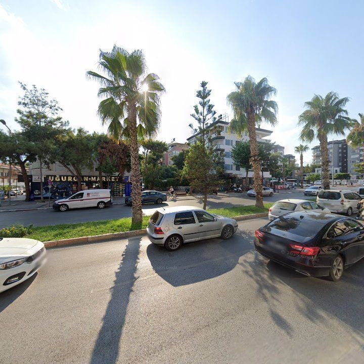 Fotoğraf 10