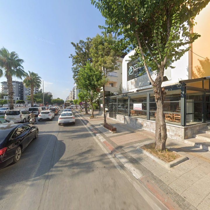 Fotoğraf 11