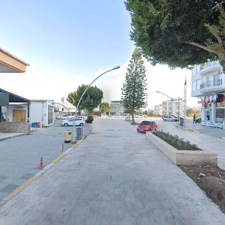 Fotoğraf 8