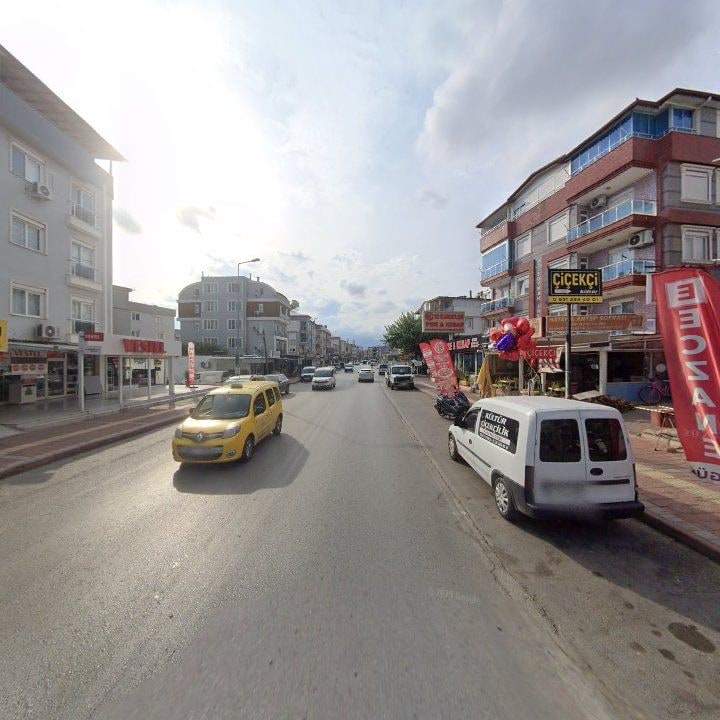 Fotoğraf 8
