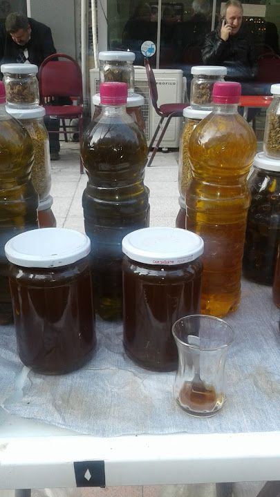 Manisa Balık Dünyası