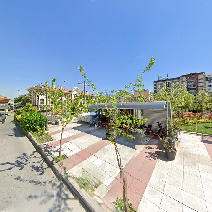 Fotoğraf 9