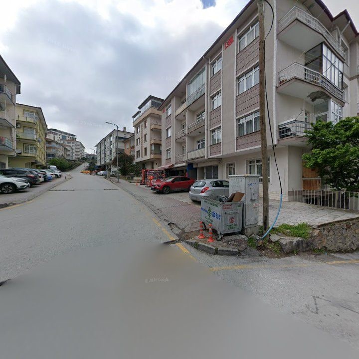 Fotoğraf 11