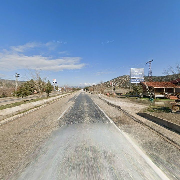 Fotoğraf 12