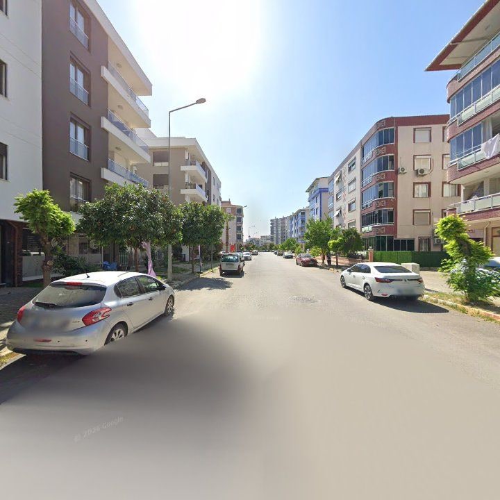 Fotoğraf 12