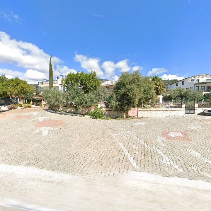 Fotoğraf 8