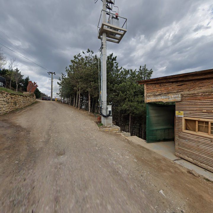 Fotoğraf 11