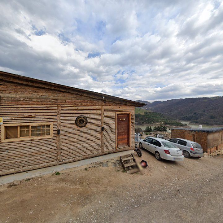 Fotoğraf 8