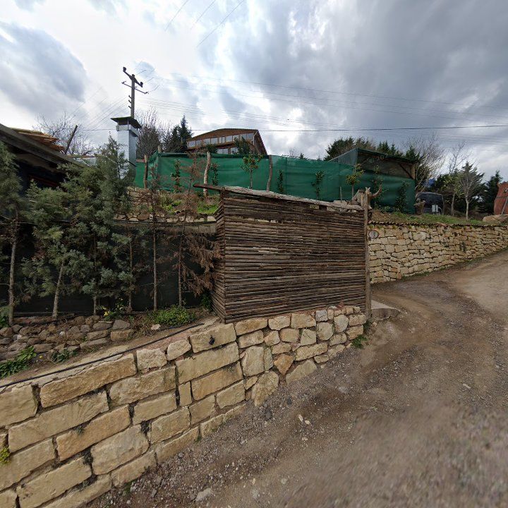 Fotoğraf 10