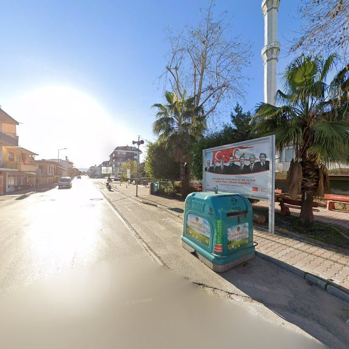 Fotoğraf 11