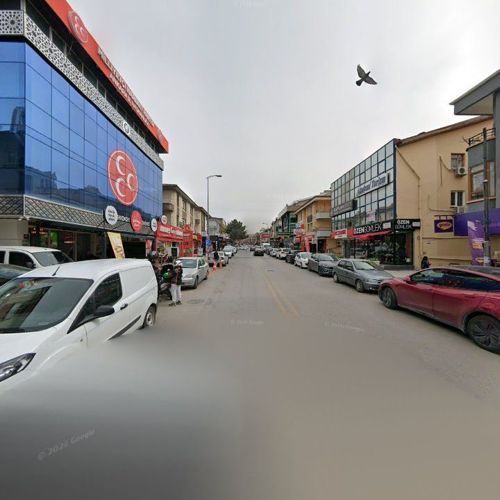 Fotoğraf 11